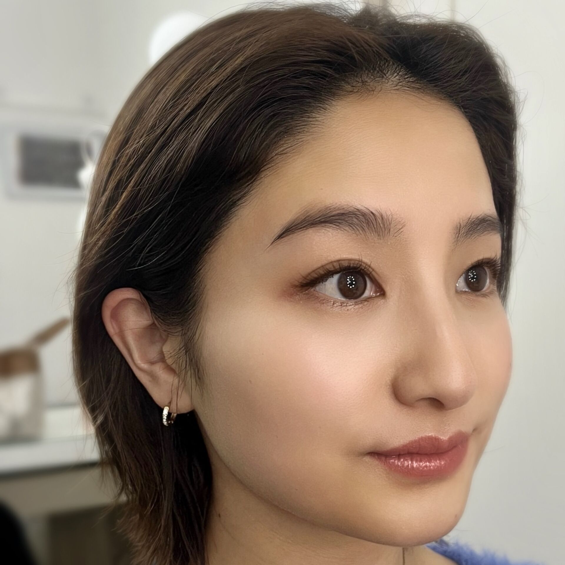 HOLLYWOOD BROW LIFT